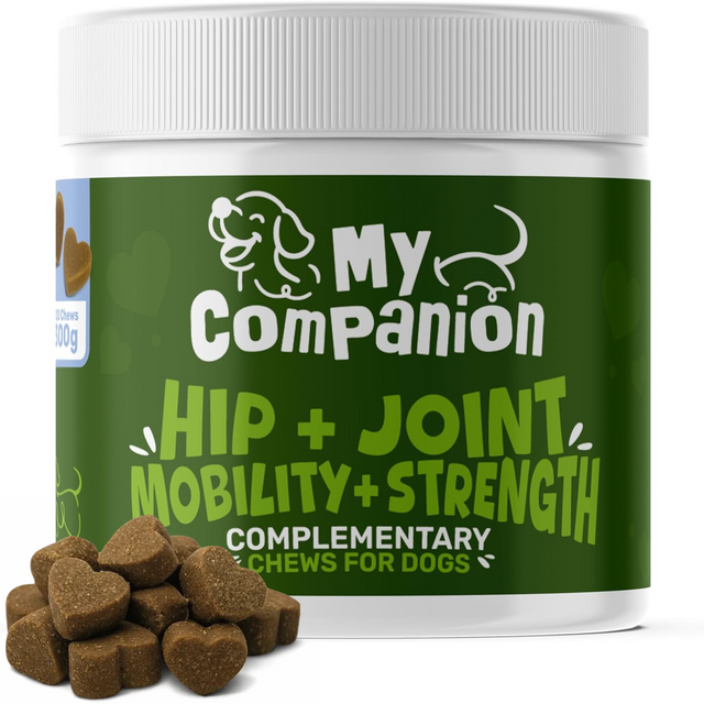 MyCompanion Hip & Joint Chews Help Restore Your Dog’s Mobility, Energy, and Joy of Movement