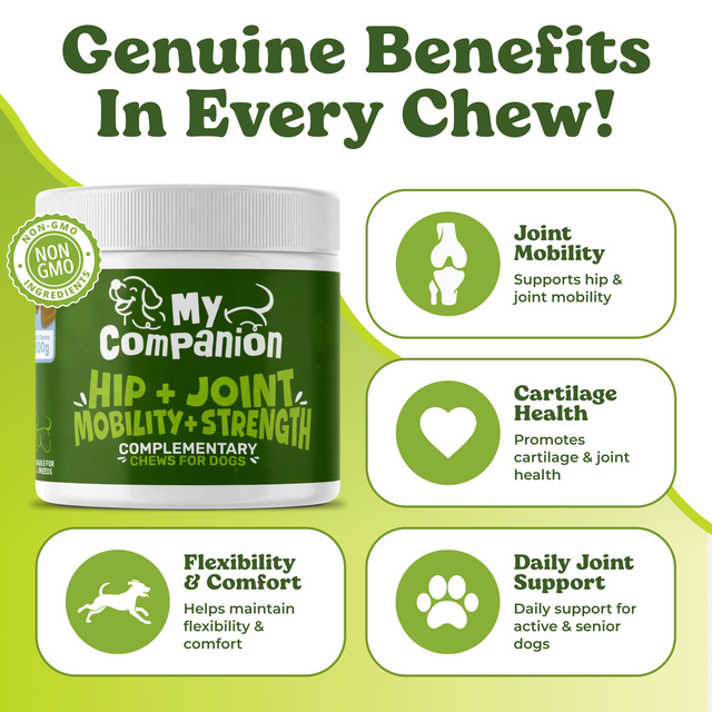 MyCompanion Hip & Joint Chews Help Restore Your Dog’s Mobility, Energy, and Joy of Movement