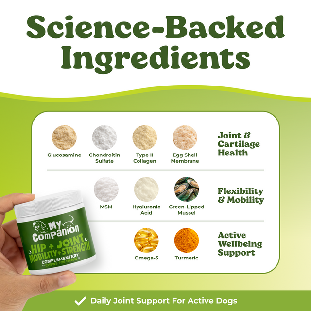 MyCompanion Hip & Joint Chews Help Restore Your Dog’s Mobility, Energy, and Joy of Movement