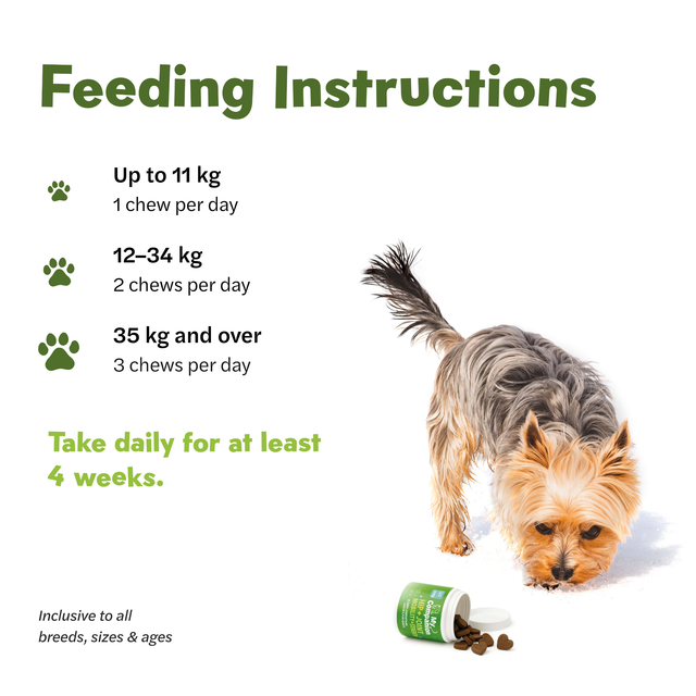Mycompanion Hip & Joint Chews for Dogs