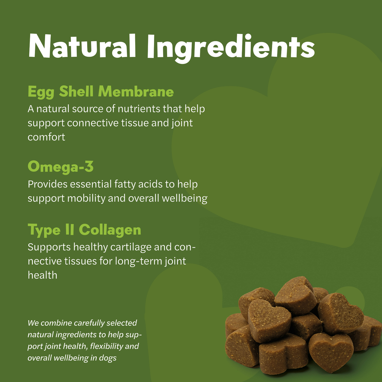 Mycompanion Hip & Joint Chews for Dogs