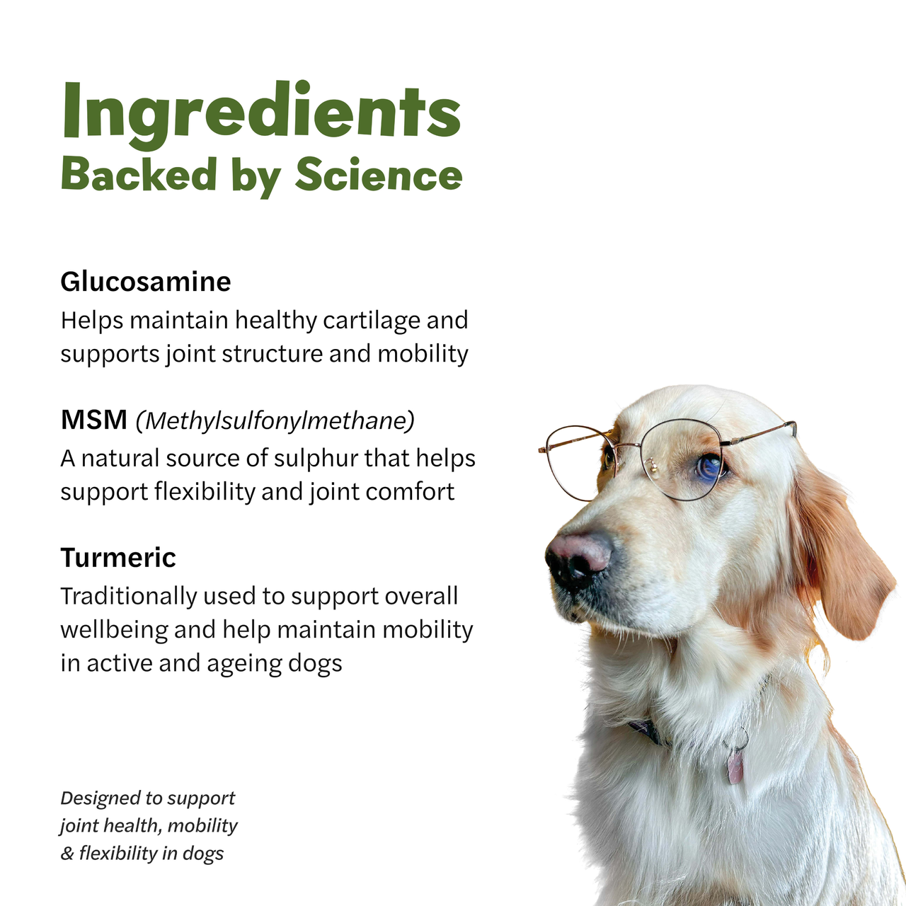 Mycompanion Hip & Joint Chews for Dogs