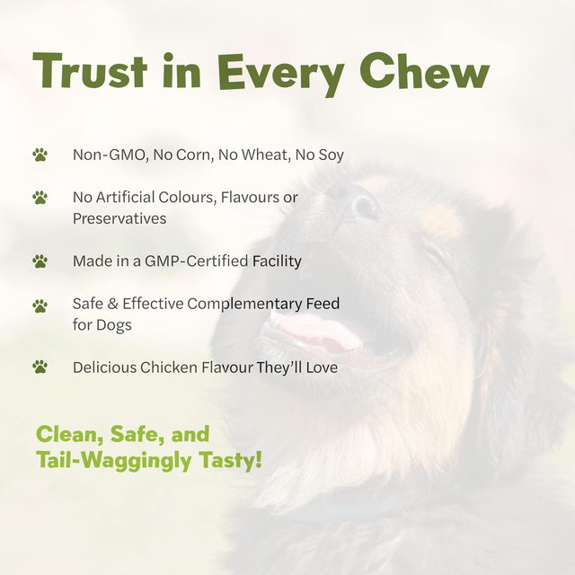 Mycompanion Hip & Joint Chews for Dogs